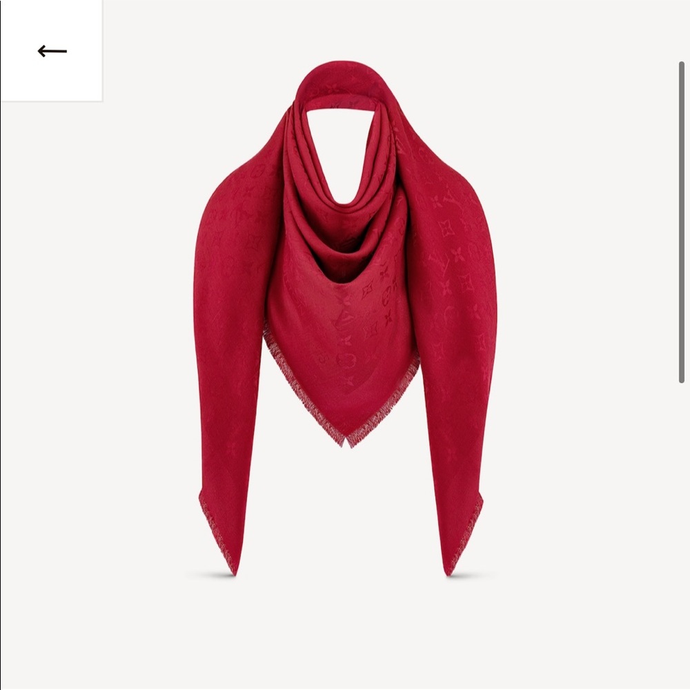 Louis Vuitton logo scarf